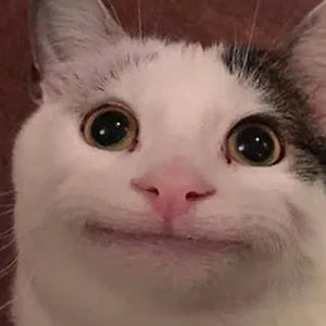 Meet your Posher, Gudetama